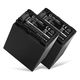 2x Batteri NP-FV90 2200mAh