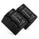 2x Batteri NP-FV70 NP-FV100 1500mAh