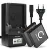 2x Batteri 950mAh+ Lader