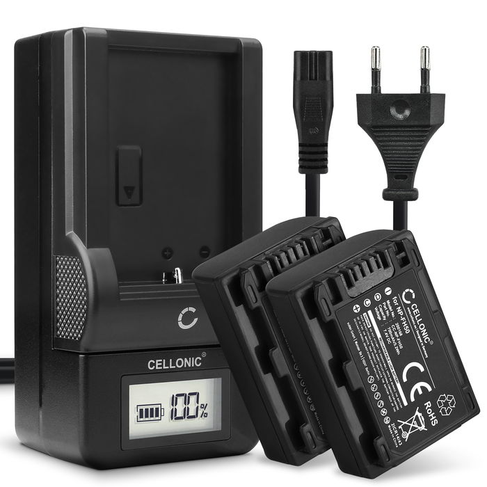 2x Batteri Sony HDR-SR12 700mAh + Lader