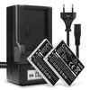 2x Batteri 600mAh+ Lader