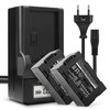2x Batteri 2200mAh+ Lader