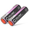 2x Batteri 2900mAh