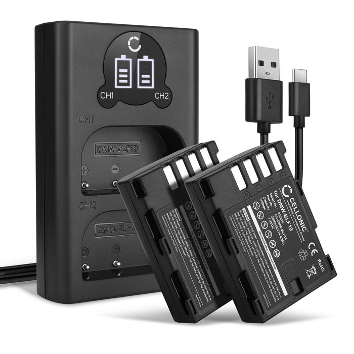 2x Batteri for Panasonic DMW-BLF19E Accu 2000mAh Akku bytte Batteri + Dobbel Lader