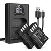 2x Batteri 1600mAh+ Dobbel Lader
