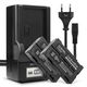 2x Batteri GR-B202 VW-VBD070 VBD1 VM-BPL13 2000mAh + Lader