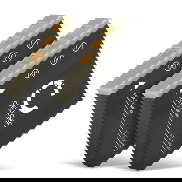 2x Batteri for Panasonic Lumix DMC-FX7, Panasonic Lumix DMC-FX2 / CGA-S004 /DMW-BCB7 Kameraer 700mAh fra CELLONIC