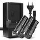 2x Batteri NP-F550 F330 F750 2600mAh + Lader