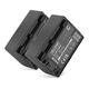 2x Batteri NP-FV70A NP-FV50A NP-FV30 NP-FV90 NP-FV100A 1030mAh